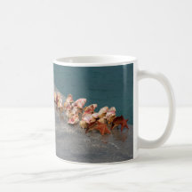 Shells for sale coffee mug