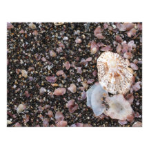 Shells Invites