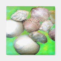 Shells Magnet