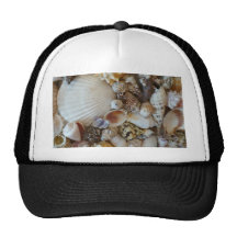Shells Of Sanibel Hat