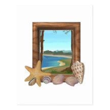Shells Postcard