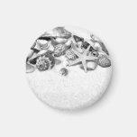Shells & Starfish Magnet