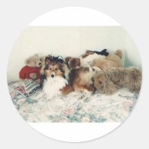 Sheltie with Stuffed Animals Sticker