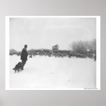 Shepherd and dog at sheep camp posters