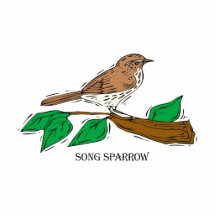 Shetha Sparrow Photo Sculptures