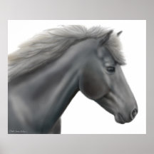 Shetland Pony Poster