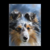 Shetland Sheepdog Art postcards