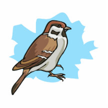 Shetta Sparrow Photo Cut Out