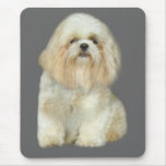 Shi Tzu Mousepad