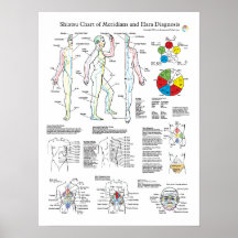 Shiatsu Acupuncture Meridians and Hara Diagnosis Posters