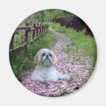 Shih Tzu Magnet Purple Flowers