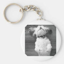 Shih Tzu Nap Key Chain