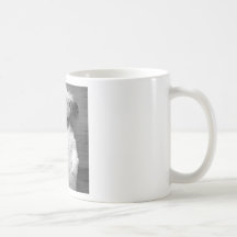 Shih Tzu Nap Mugs