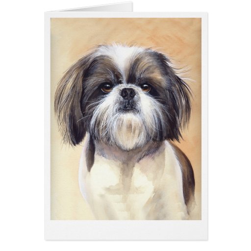 shih tzu portrait shih tzu portrait painted in watercolour greeting cards zazzle shih tzu portrait shih tzu portrait painted in watercolour greeting cards zazzle