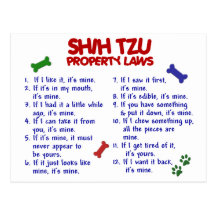 SHIH TZU Property Laws 2 Postcard