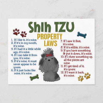 Craft Ideas  Pregnancy on Source Http Rlv Zcache Com Au Shih Tzu Property Laws 4 Postcard