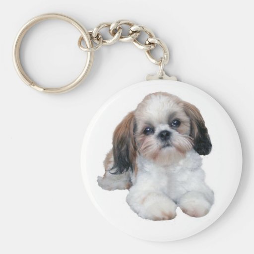 Shih Tzu Puppy Keychain