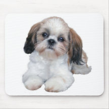 Shih Tzu Puppy Mousepad