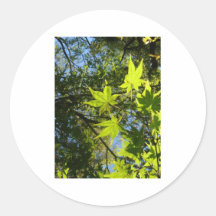 shiny green leafs sticker