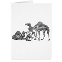 Ship of the Desert - Skeleton Camels At Rest Cards