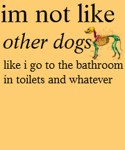 shirt for clean dogs