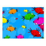 Shoal of Fish Post Card