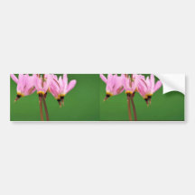 Shooting star bumper sticker
