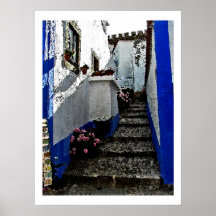 Shop and Steps in Obidos Portugal Poster