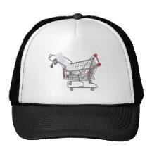 ShoppingMedicalCoverage090409 Mesh Hat