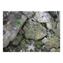 Shore rocks, jagged, with small green shoot personalised invite