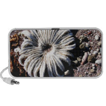Shoreline Portable Speaker