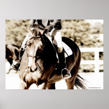 Show Horse Print