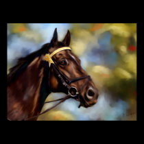 Show Horse Poster posters