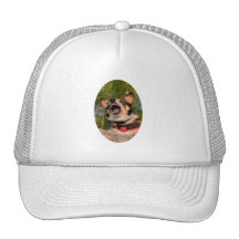 Show Me Angry Hat
