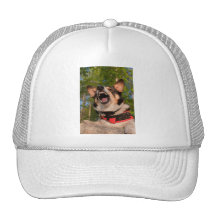 Show Me Angry Trucker Hats