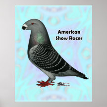 Show Racer ASR Posters