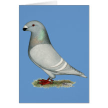 Show Racer Concept Hen Card