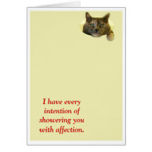 Shower with affection greeting cards