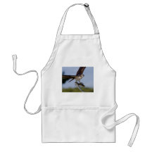 Showing Off Aprons