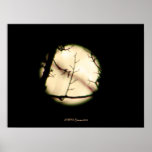 Shy Child Moon Poster
