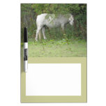 Shy White Horse Memo Board Dry Erase Whiteboard