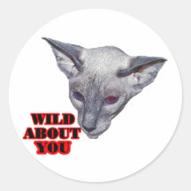Siamese Cat Stickers