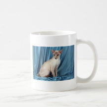 Siamese, lilac point coffee mugs
