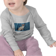 Siamese, lilac point tee shirt