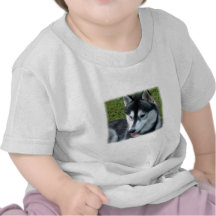 Siberian Husky Baby T-Shirt
