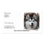 Siberian Husky Business Card