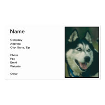 Siberian Husky Business Card