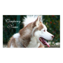 Siberian Husky Business Cards
