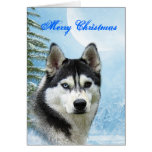 Siberian Husky Christmas Card