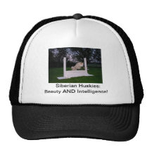 Siberian Husky Dog Agility Hat